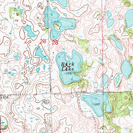 Topographic Map of Burk Lake, MN