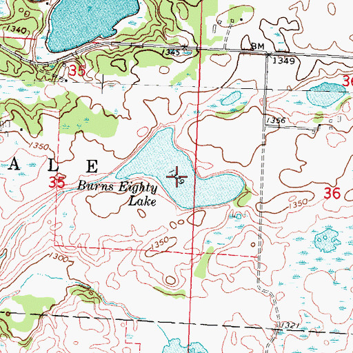 Topographic Map of Burns Eighty Lake, MN
