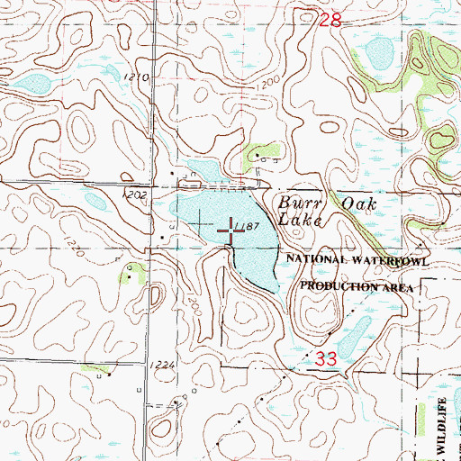 Topographic Map of Burr Oak Lake, MN