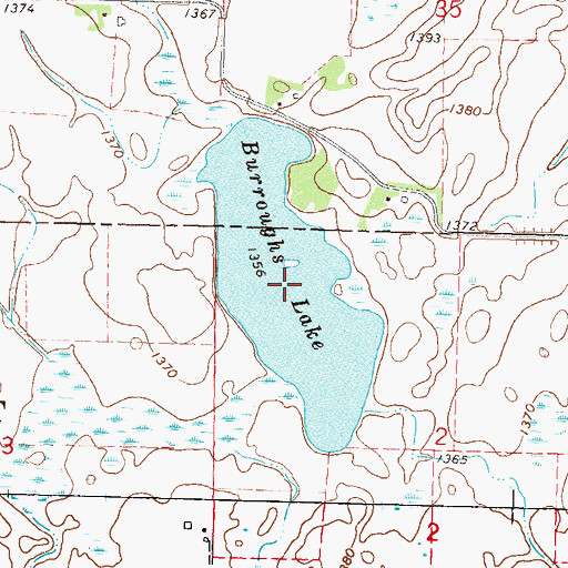 Topographic Map of Burroughs Lake, MN