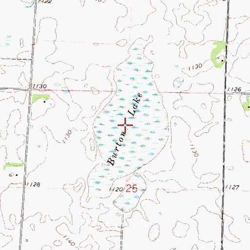 Topographic Map of Burton Lake, MN