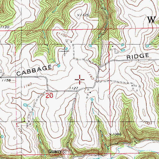 Topographic Map of Cabbage Ridge, MN