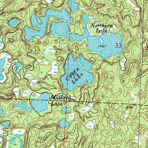 Topographic Map of Cabin Lake, MN
