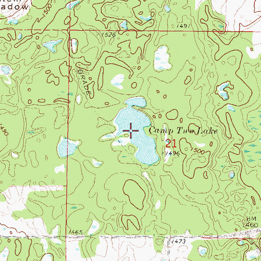 Topographic Map of Camp Two Lake, MN