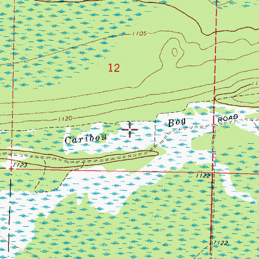 Topographic Map of Caribou Bog, MN