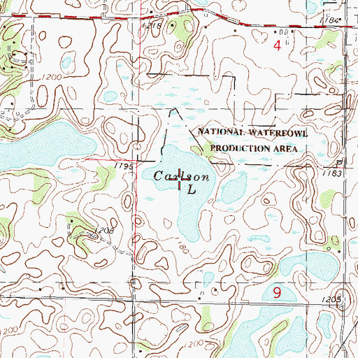 Topographic Map of Carlson Lake, MN