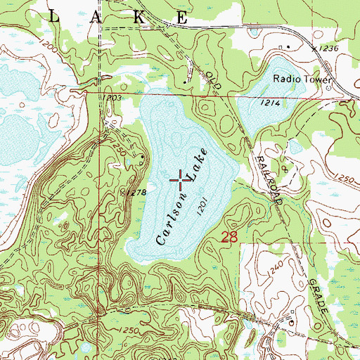 Topographic Map of Carlson Lake, MN