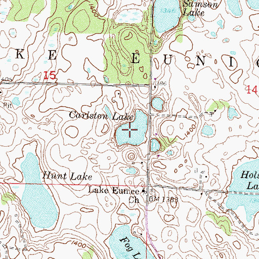 Topographic Map of Carlston Lake, MN