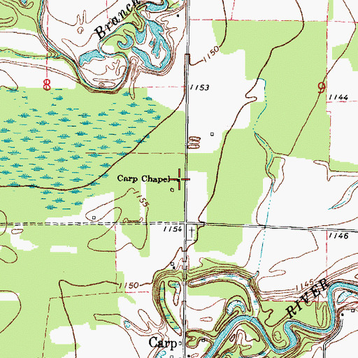 Topographic Map of Carp Chapel, MN