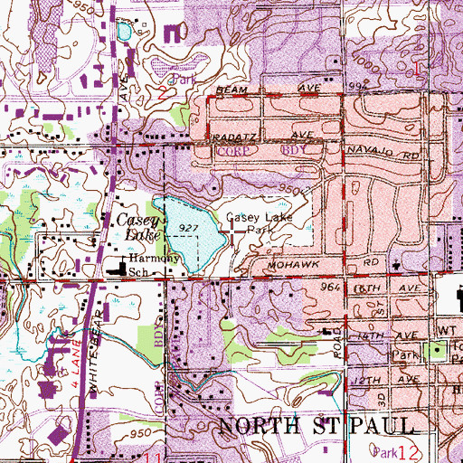 Topographic Map of Casey Lake Park, MN