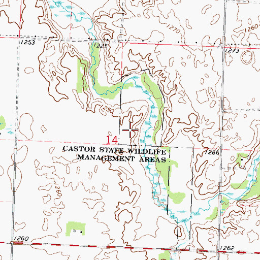 Topographic Map of Castor State Wildlife Management Areas, MN