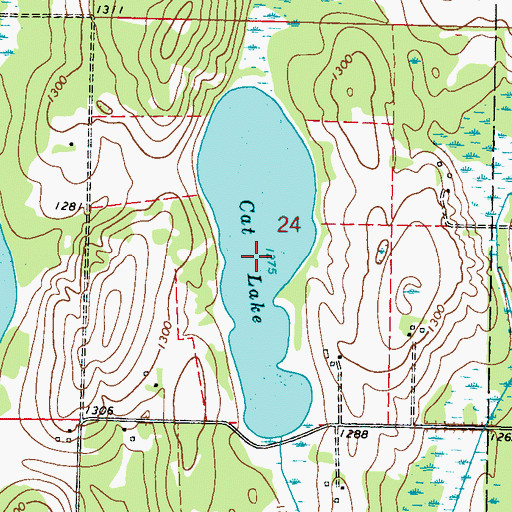 Topographic Map of Cat Lake, MN