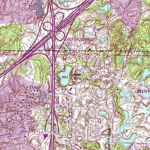 Topographic Map of Cedar Camp, MN