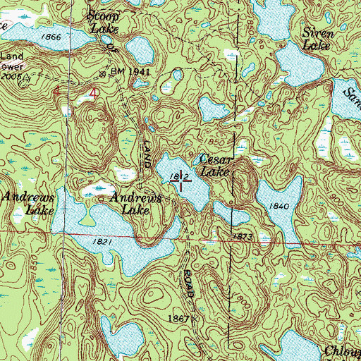 Topographic Map of Cesar Lake, MN