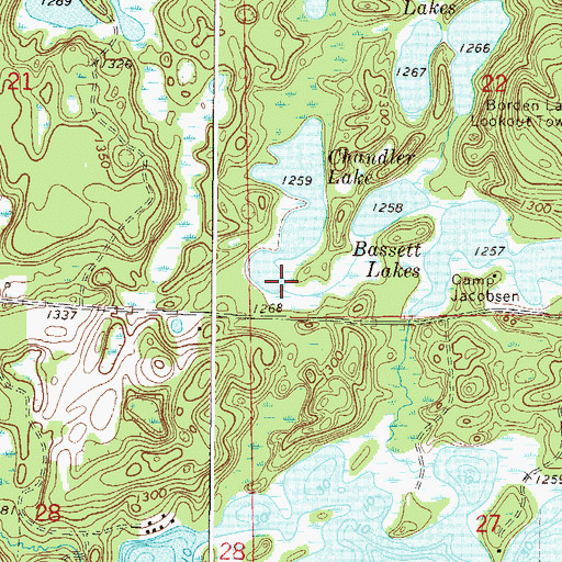 Topographic Map of Chandler Lake, MN