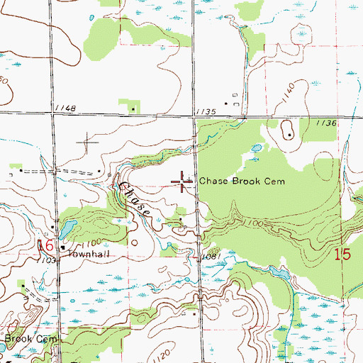 Topographic Map of Chase Brook Cemetery, MN