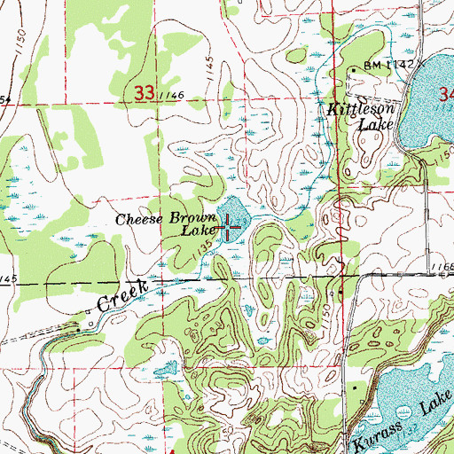 Topographic Map of Cheese Brown Lake, MN