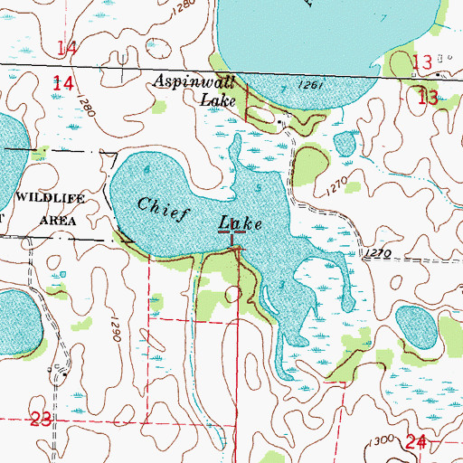 Topographic Map of Chief Lake, MN