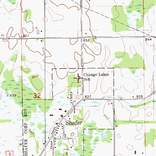 Topographic Map of Chisago Lakes School, MN