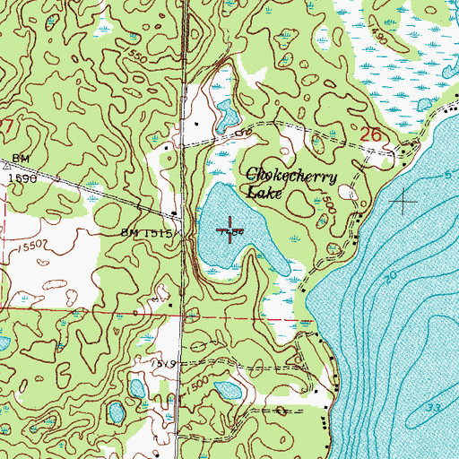 Topographic Map of Chokecherry Lake, MN