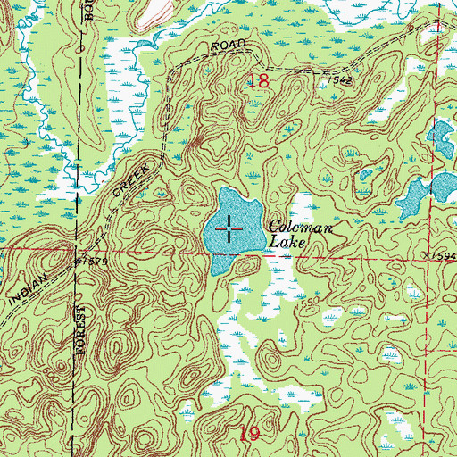 Topographic Map of Coleman Lake, MN