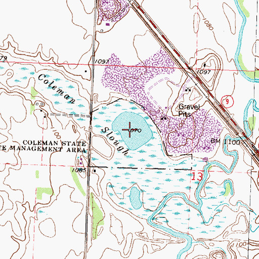 Topographic Map of Coleman Slough, MN