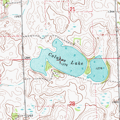 Topographic Map of Colness Lake, MN