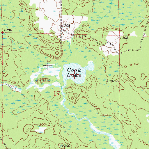 Topographic Map of Cook Lake, MN