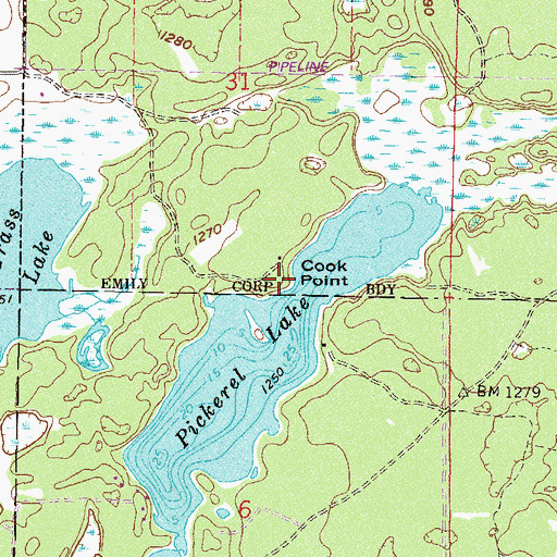 Topographic Map of Cook Point, MN