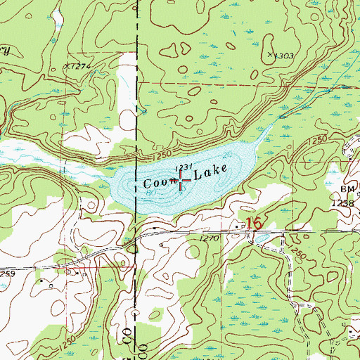 Topographic Map of Coon Lake, MN