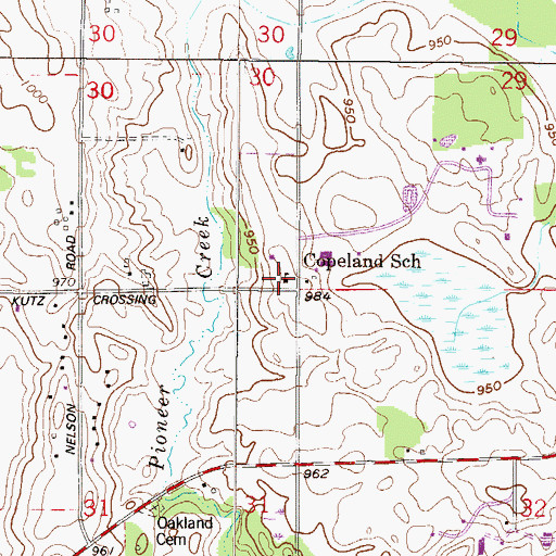 Topographic Map of Copeland School, MN