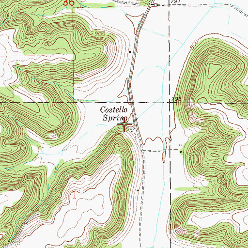 Topographic Map of Costello Spring, MN