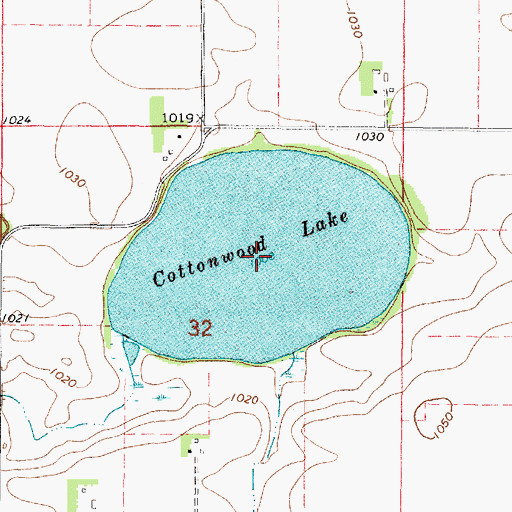 Topographic Map of Cottonwood Lake, MN