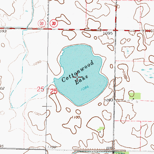 Topographic Map of Cottonwood Lake, MN
