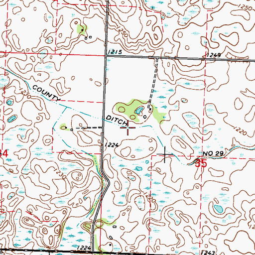 Topographic Map of County Ditch Number Twentynine, MN