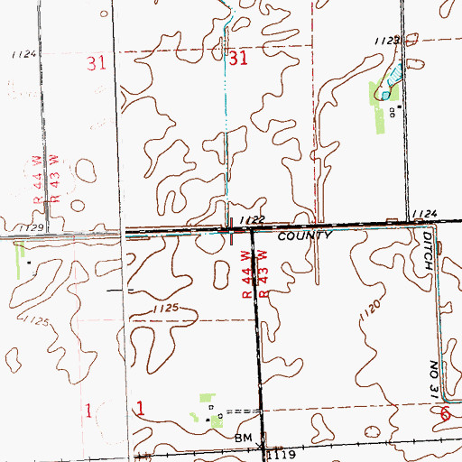 Topographic Map of County Ditch Number Thirtyone, MN