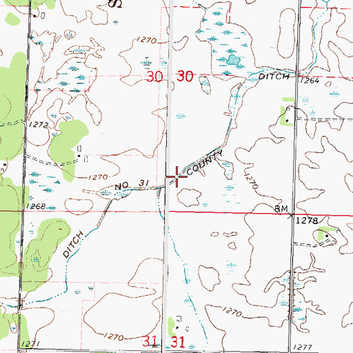 Topographic Map of County Ditch Number Thirtyone, MN