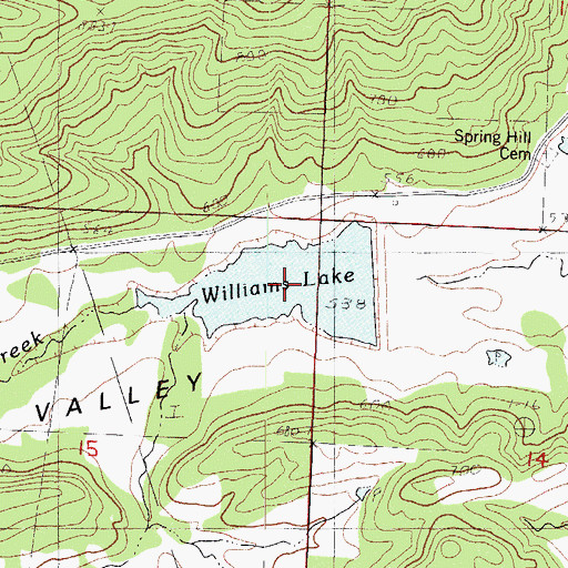 Topographic Map of Williams Lake, AR