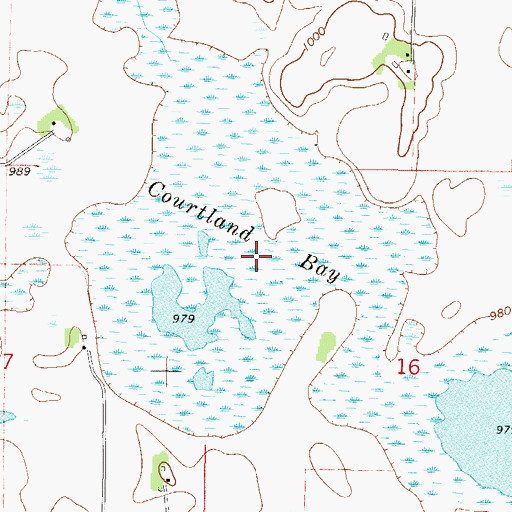 Topographic Map of Courtland Bay, MN