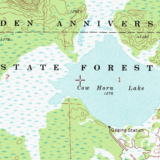 Topographic Map of Cow Horn Lake, MN
