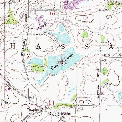 Topographic Map of Cowley Lake, MN