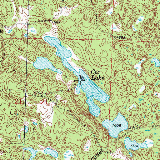 Topographic Map of Cox Lake, MN