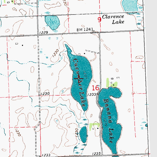 Topographic Map of Cucumber Lake, MN