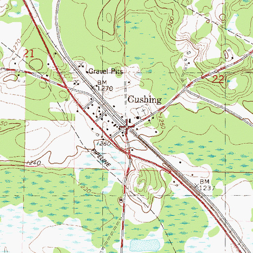 Topographic Map of Cushing, MN