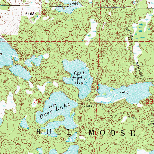 Topographic Map of Cut Lake, MN