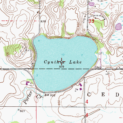 Topographic Map of Cynthia Lake, MN