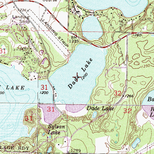 Topographic Map of Dade Lake, MN