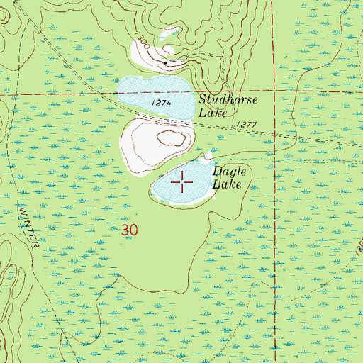 Topographic Map of Dagle Lake, MN
