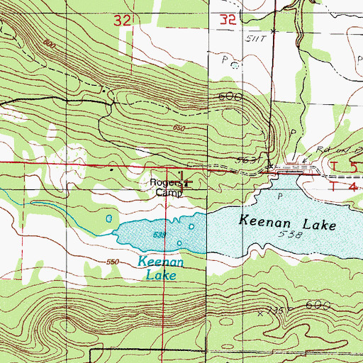 Topographic Map of Rogers Camp, AR