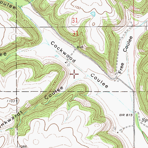 Topographic Map of Dankwardt Coulee, MN